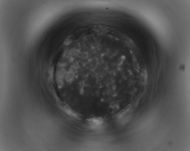 X0000090860765200708241858