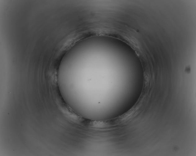 X0000090860766200708241858