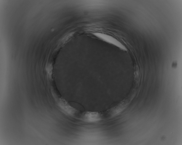 X0000090860767200708241858