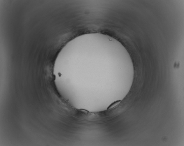 X0000090860768200708241858