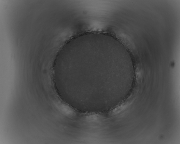 X0000090860769200708241858