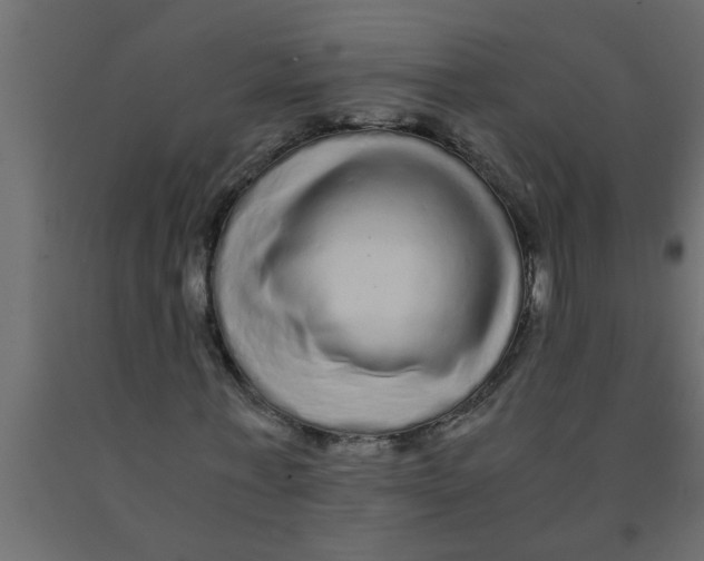 X0000090860771200708241858