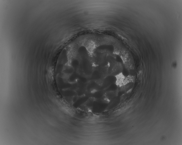 X0000090860772200708241858