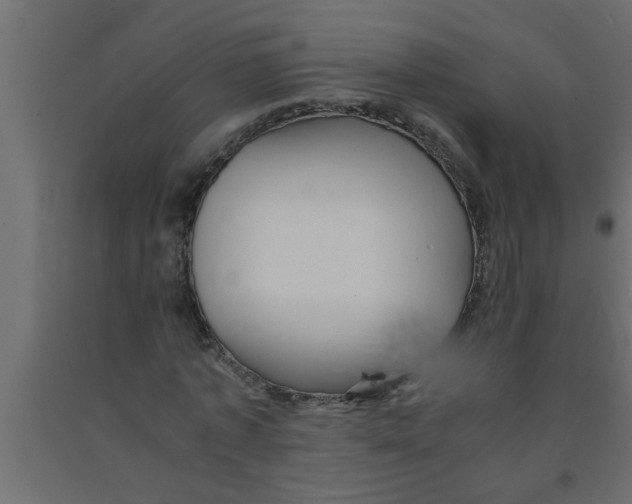 X0000090860773200708241858