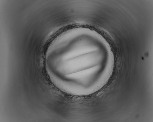 X0000090860776200708241858