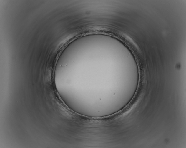 X0000090860777200708241858