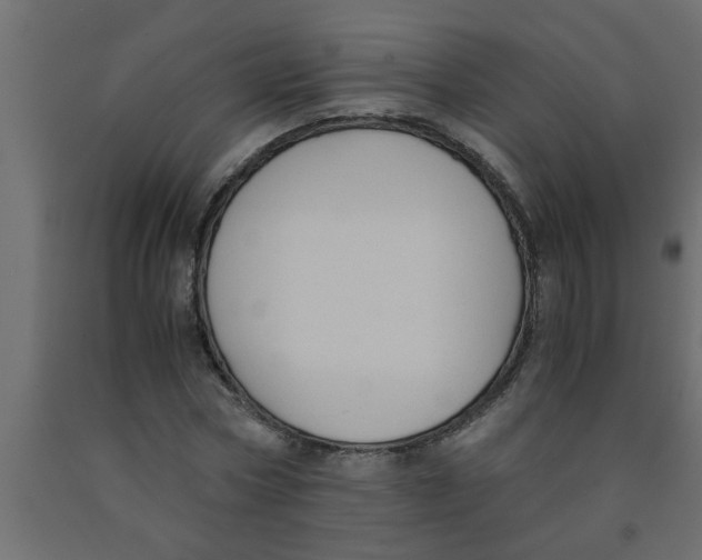 X0000090860778200708241858