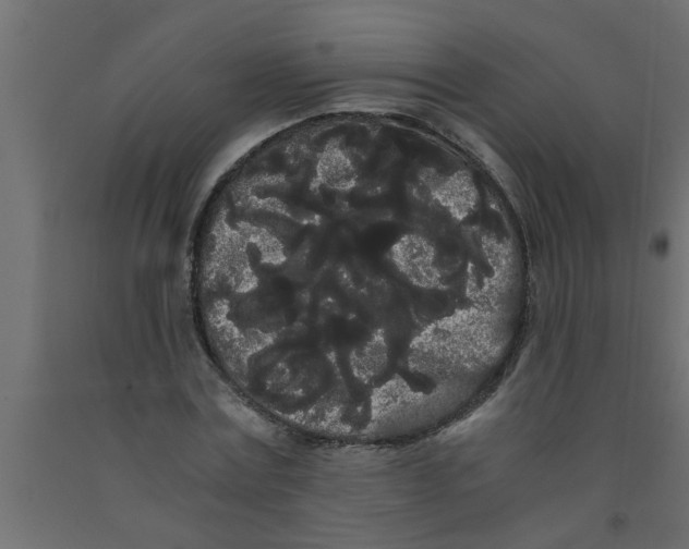 X0000090860779200708241857