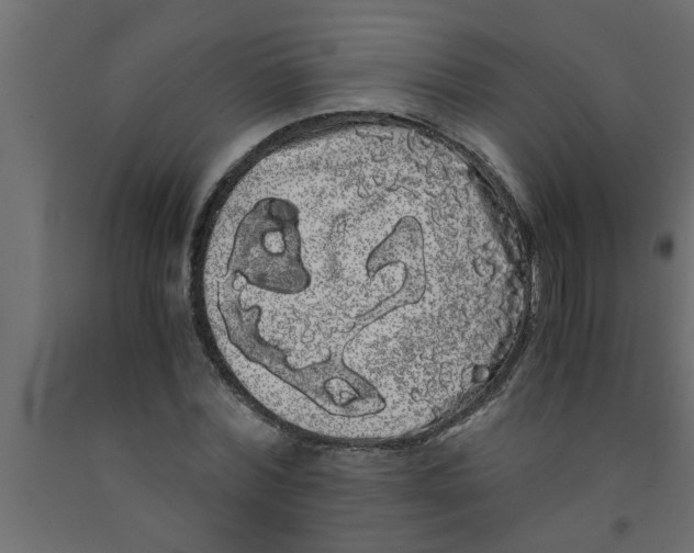 X0000090860780200708241857