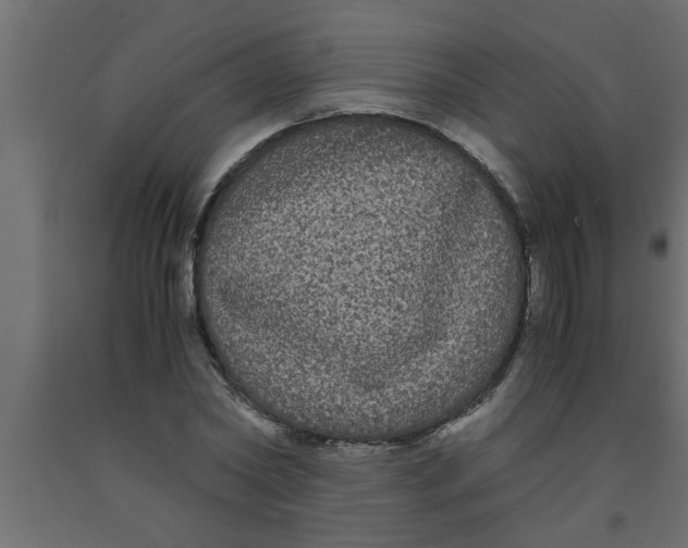 X0000090860782200708241857