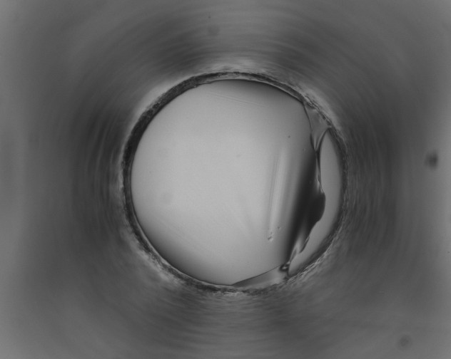 X0000090860784200708241857