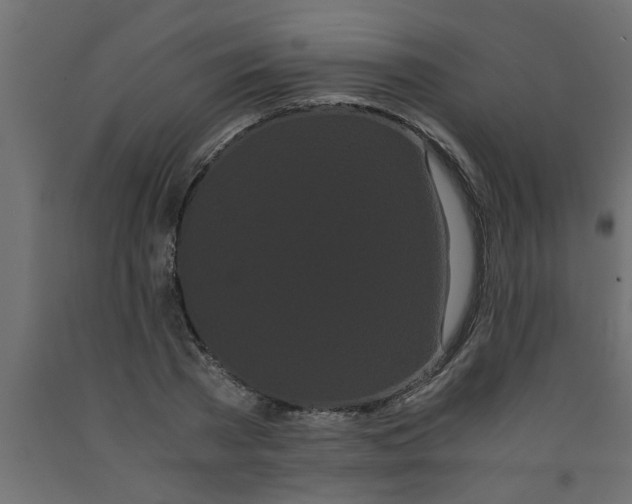 X0000090860785200708241857