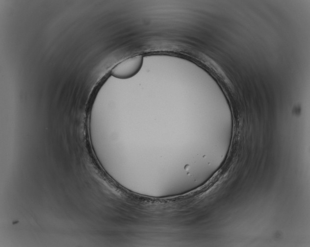 X0000090860786200708241857