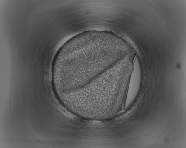 X0000090860787200708241857