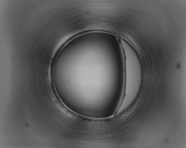 X0000090860788200708241857