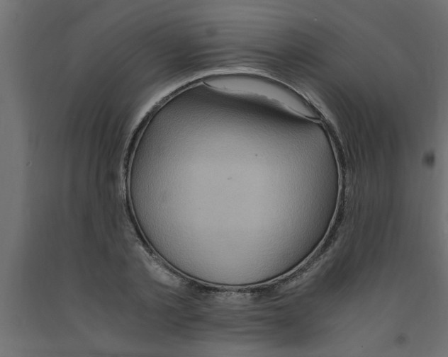 X0000090860789200708241857