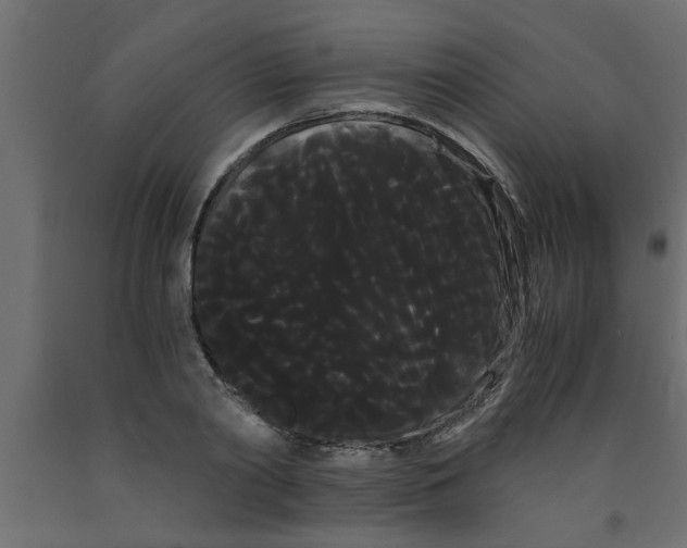 X0000090860790200708241857