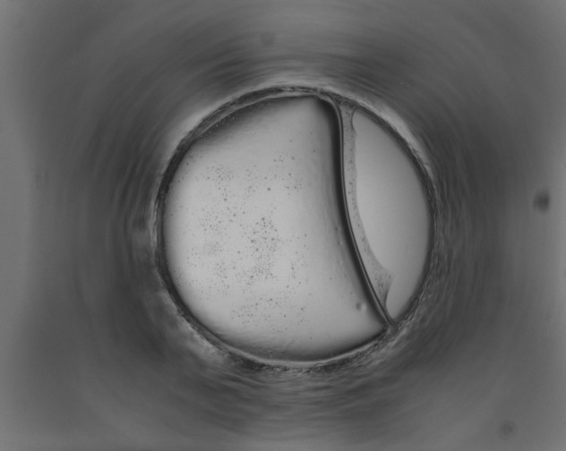 X0000090860791200708241857