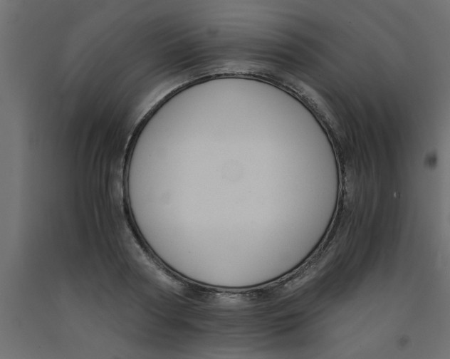 X0000090860794200708241857