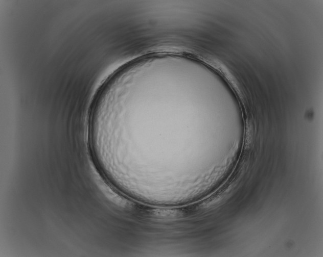 X0000090860795200708241857