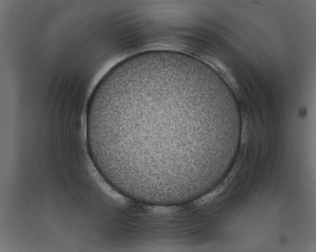 X0000090860796200708241857