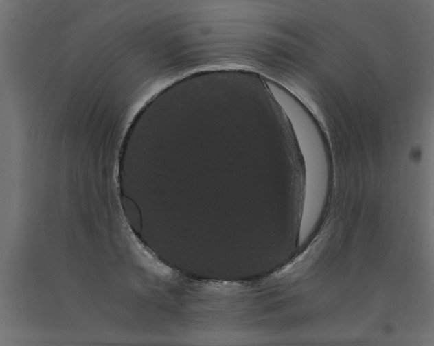 X0000090860797200708241857