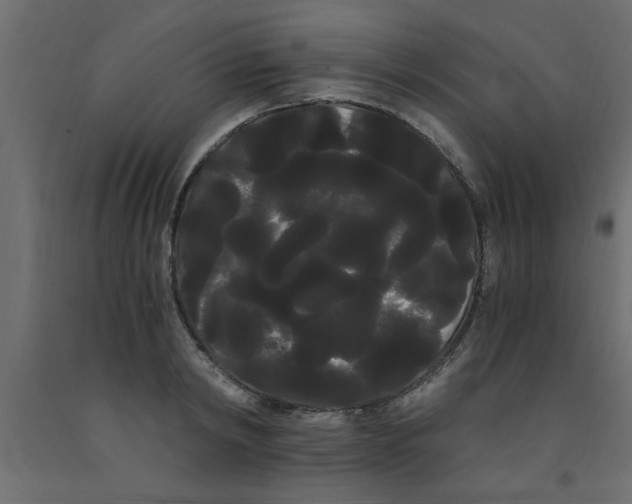 X0000090860798200708241857