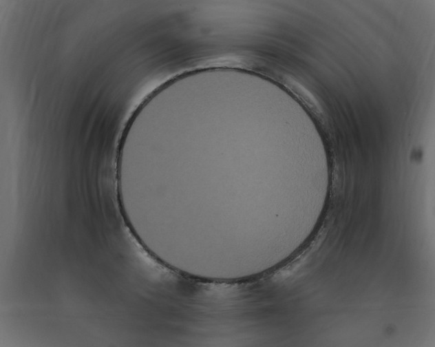 X0000090860800200708241857