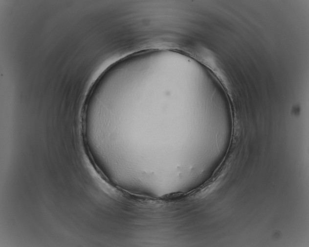 X0000090860803200708241857