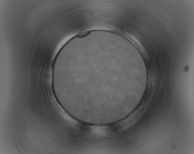 X0000090860804200708241857