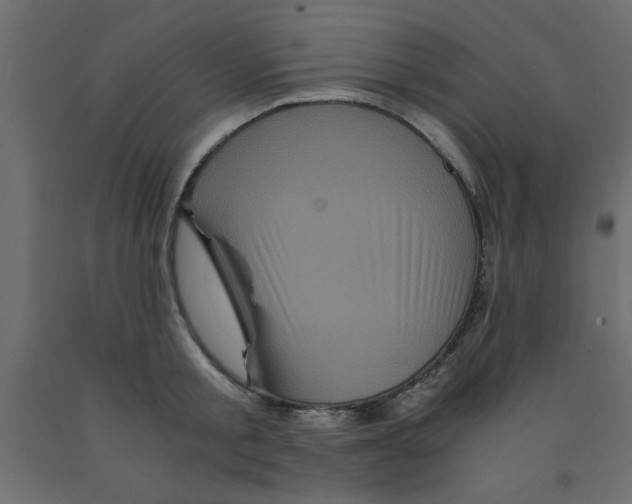 X0000090860805200708241857