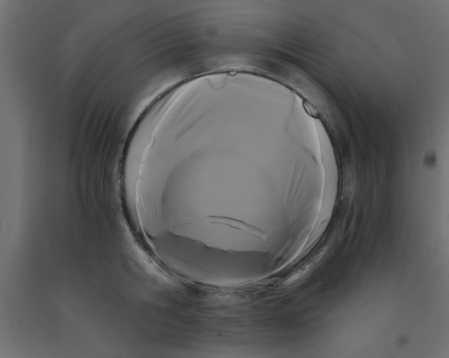 X0000090860806200708241857