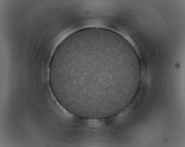 X0000090860807200708241857