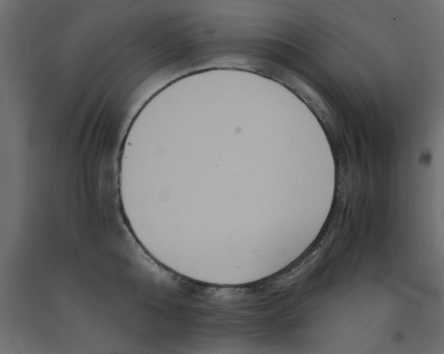 X0000090860808200708241857