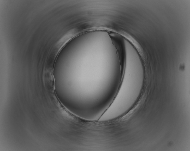 X0000090860809200708241857