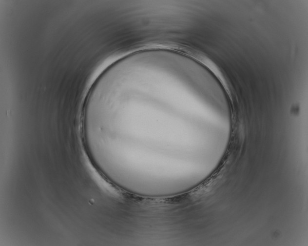 X0000090860811200708241857