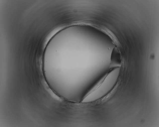 X0000090860812200708241857