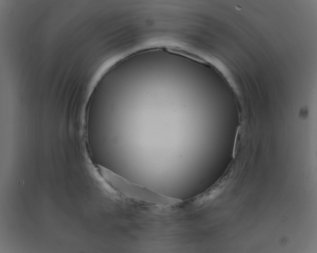 X0000090860815200708241857