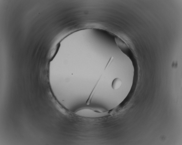 X0000090860816200708241857