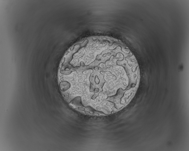 X0000090860817200708241856