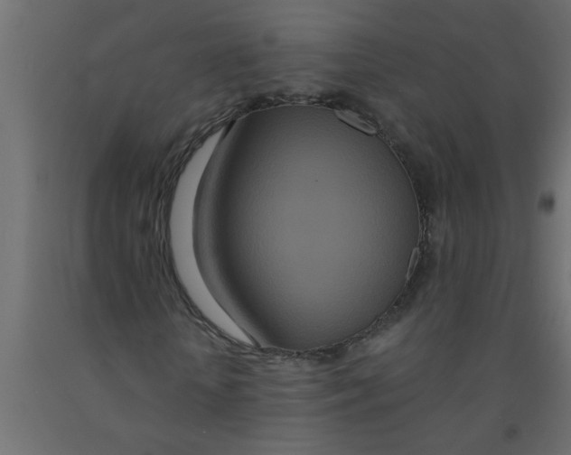 X0000090860818200708241856