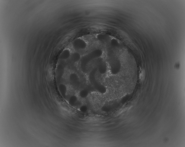 X0000090860819200708241856