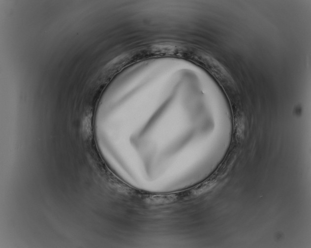 X0000090860821200708241856