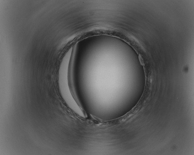 X0000090860822200708241857