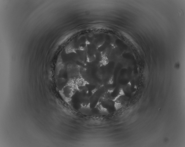 X0000090860823200708241857