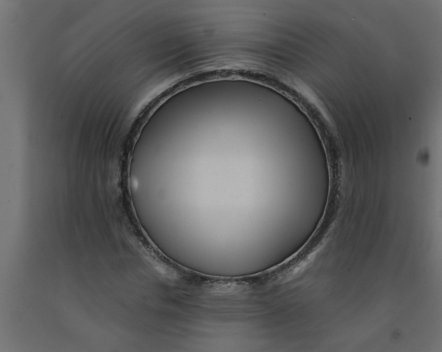 X0000090860826200708241857