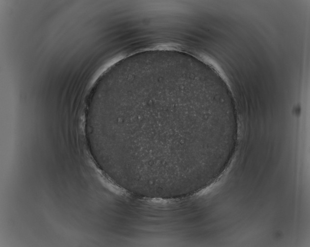 X0000090860827200708241857