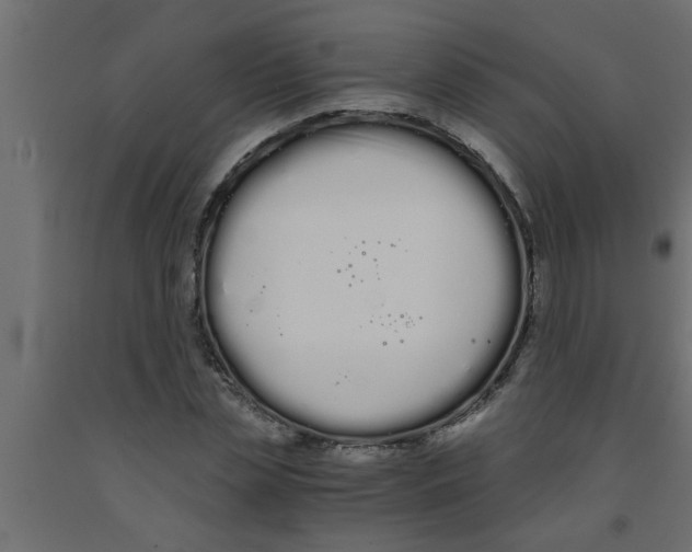 X0000090860829200708241857