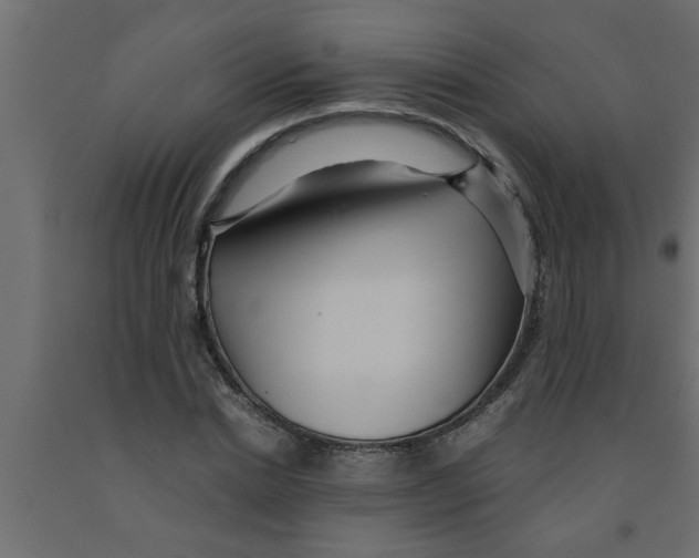 X0000090860830200708241857