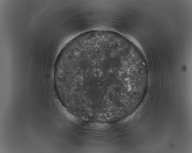 X0000090860831200708241857